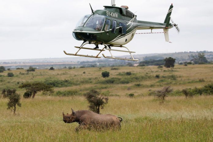 Kenya Air Service Wing