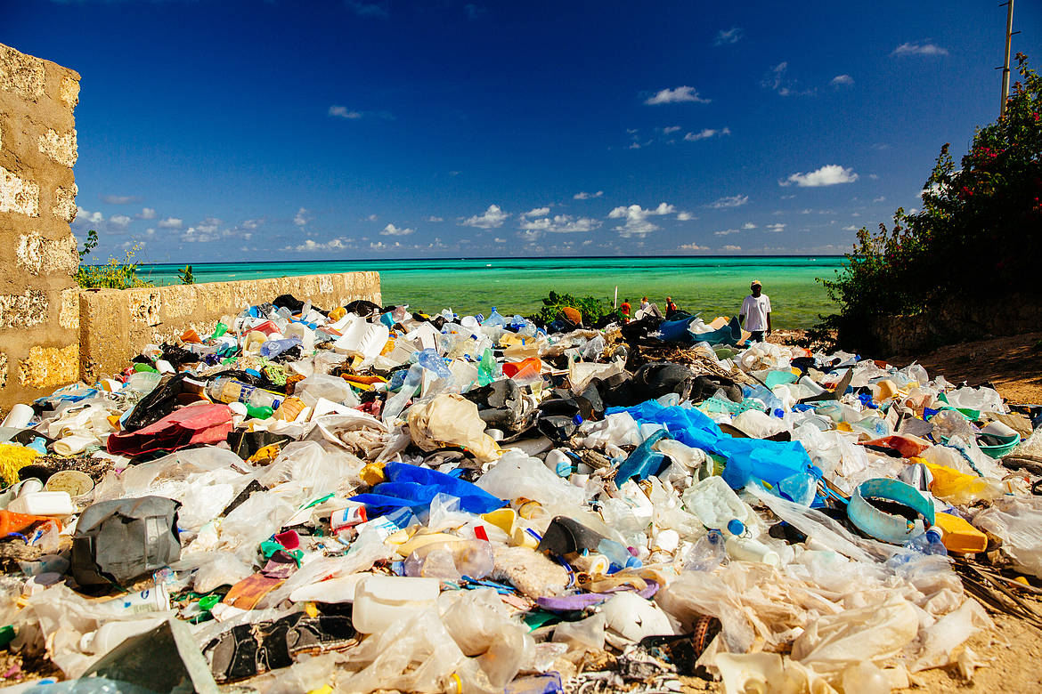 Litter at the Kenyan Coast