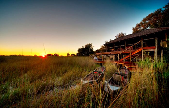 Botswana Safaris