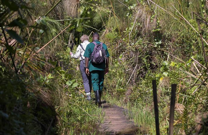 uganda-safari-adventure Uganda Safari Adventure