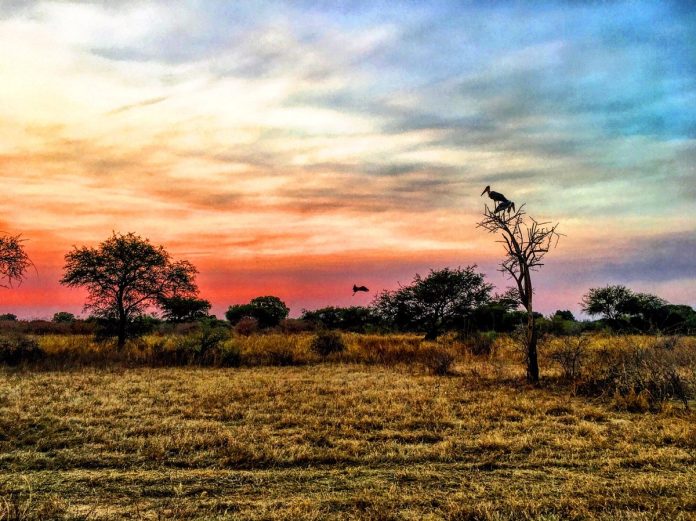 Zakouma National Park