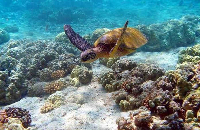 Watamu in Kenya