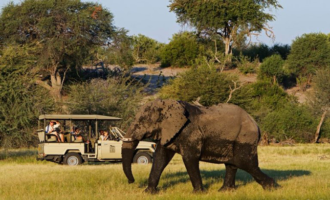 Family on Game Drive in Botswana