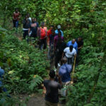 Mabira Forest Walk