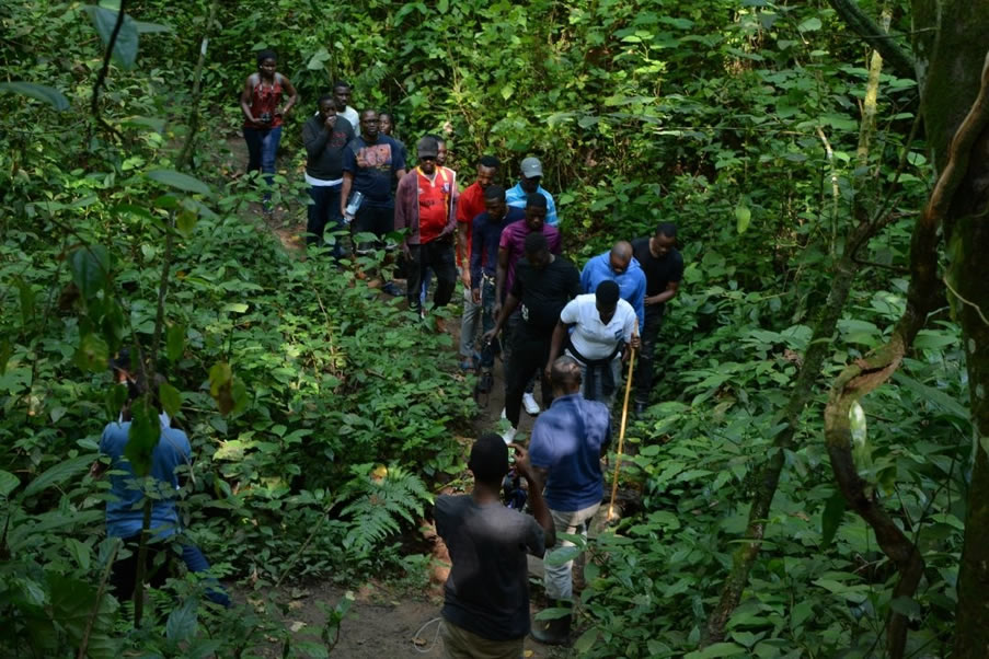 Mabira forest walk