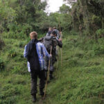 mgahinga nature walk