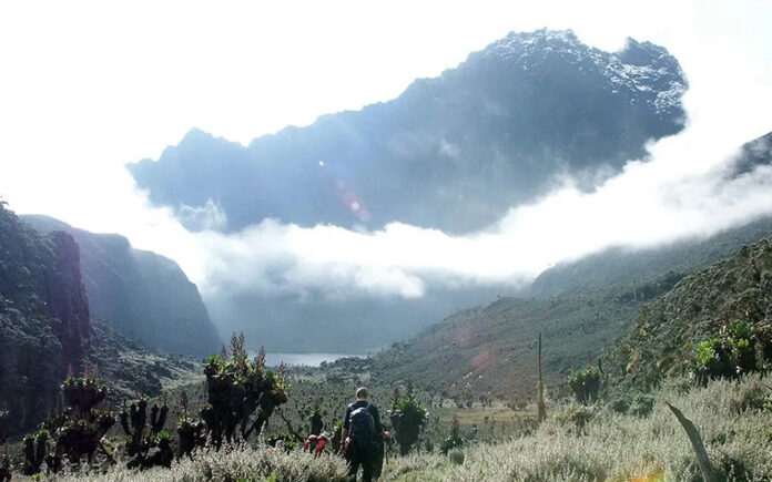 Rwenzori Hike