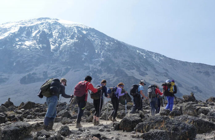 Kilimanjaro Hiking