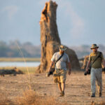 zimbabwe-walking-safari