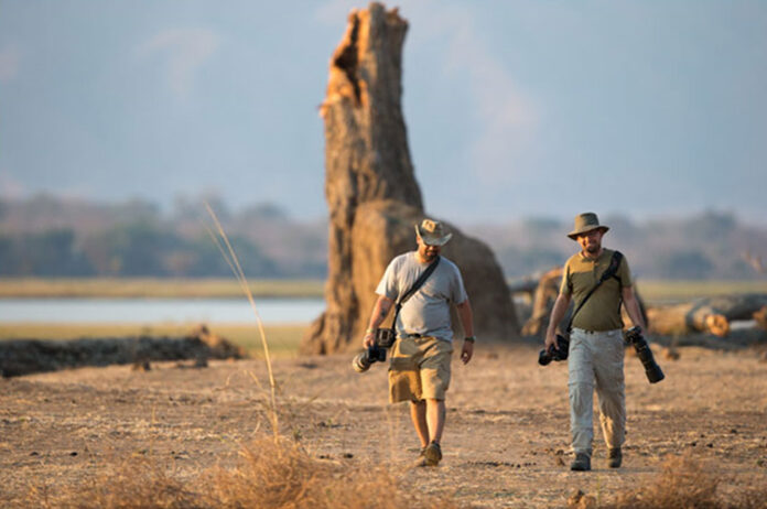 Zimbabwe Walking Safaris