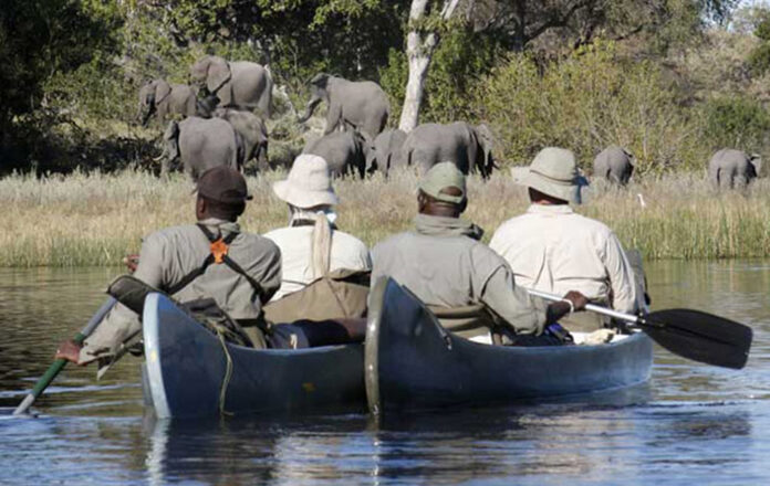 Boat Safari