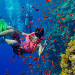 Dive or snorkel in the crystal-clear waters of Mafia Island Marine Park