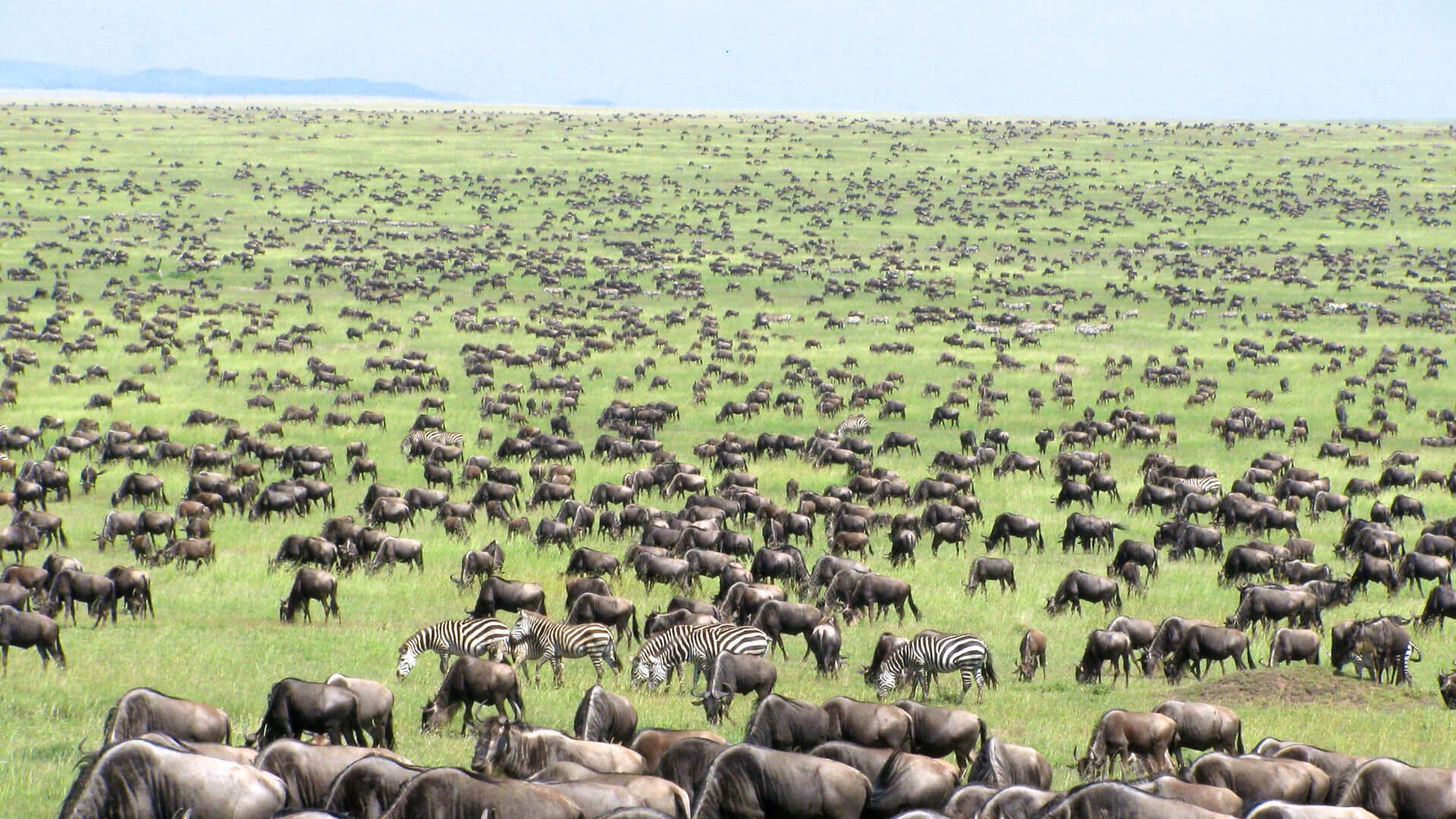 natural tourist attractions in tanzania