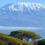 Landscape of Kilimanjaro behind Kenya’s Acacia trees