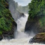 Murchison falls np