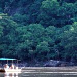 Take a boat safari in Selous Game Reserve