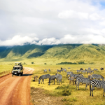 Things to do in Tanzania