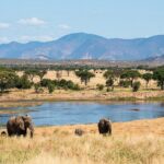 landscapes of Ruaha National Park