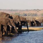 Caprivi Strip Namibia