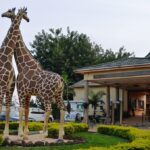 Entebbe Zoo