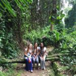 Entebbe botanical gardens