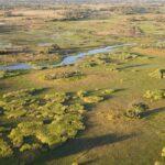 Okavango-Delta Botswana