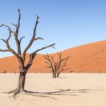 Visit Sossusvlei Namibia