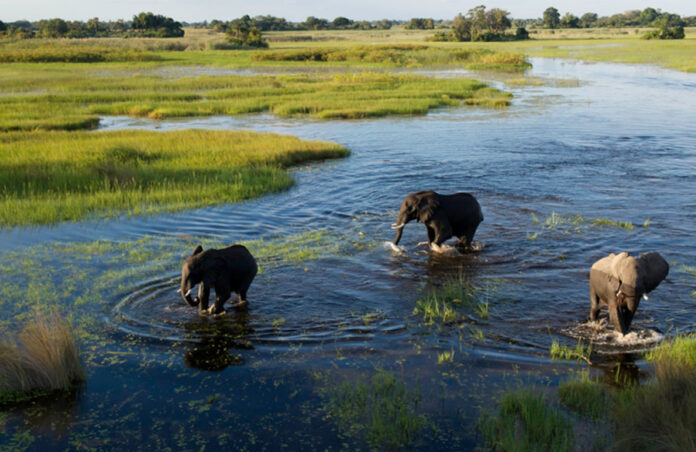 Okavango Delta