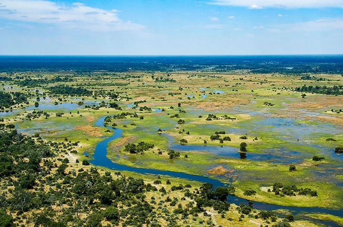 Okavango Delta