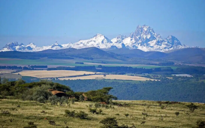 Wild Mount Kenya