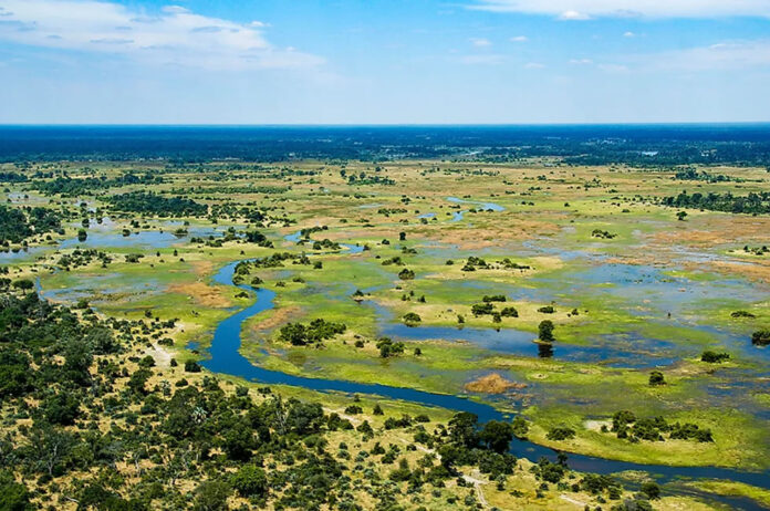 The Okavango Delta