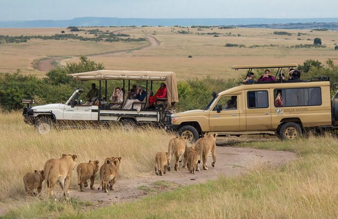 Tanzania Safari
