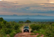 East Africa Holidays and their Impact on Tourism East Africa Parks