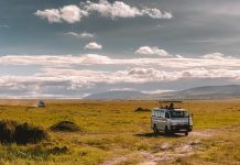 The Benefits of Self-Drive Car Hire in Kenya Kenya Safari Car