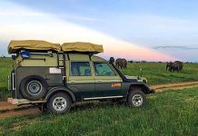 A complete Guide to Self Drive Safari in Tanzania Self Drive Tanzania