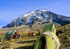 Beyond the Kilimanjaro Summit: Exploring Culture, History, and Wildlife Mount Kilimanjaro