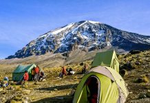 Beyond the Kilimanjaro Summit: Exploring Culture, History, and Wildlife Mount Kilimanjaro