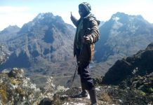 Top Places for Trekking in Uganda Rwenzori Trekking