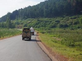 Road Tripping Rwanda: Things to Know Road Trip Rwanda